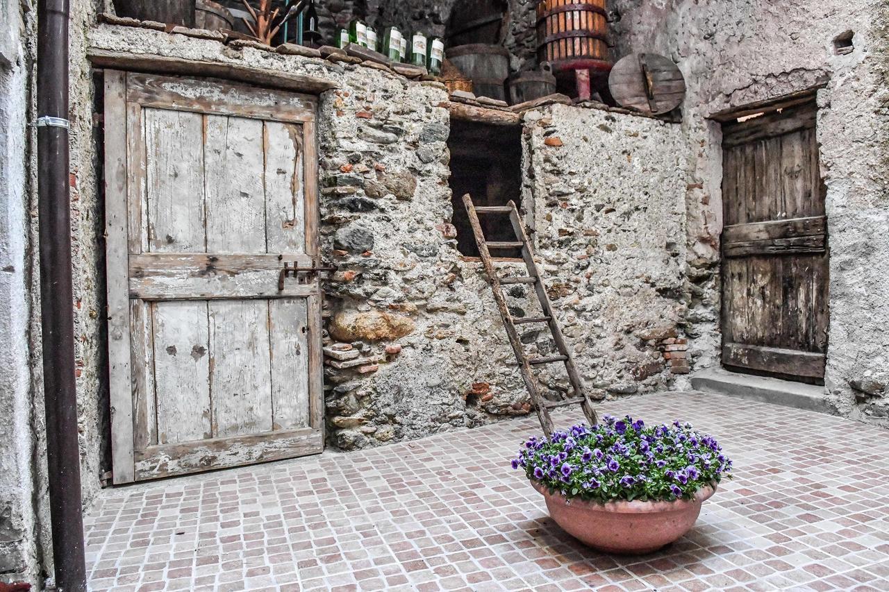 Bed and Breakfast La Terra Di Mingo à Vado Ligure Extérieur photo